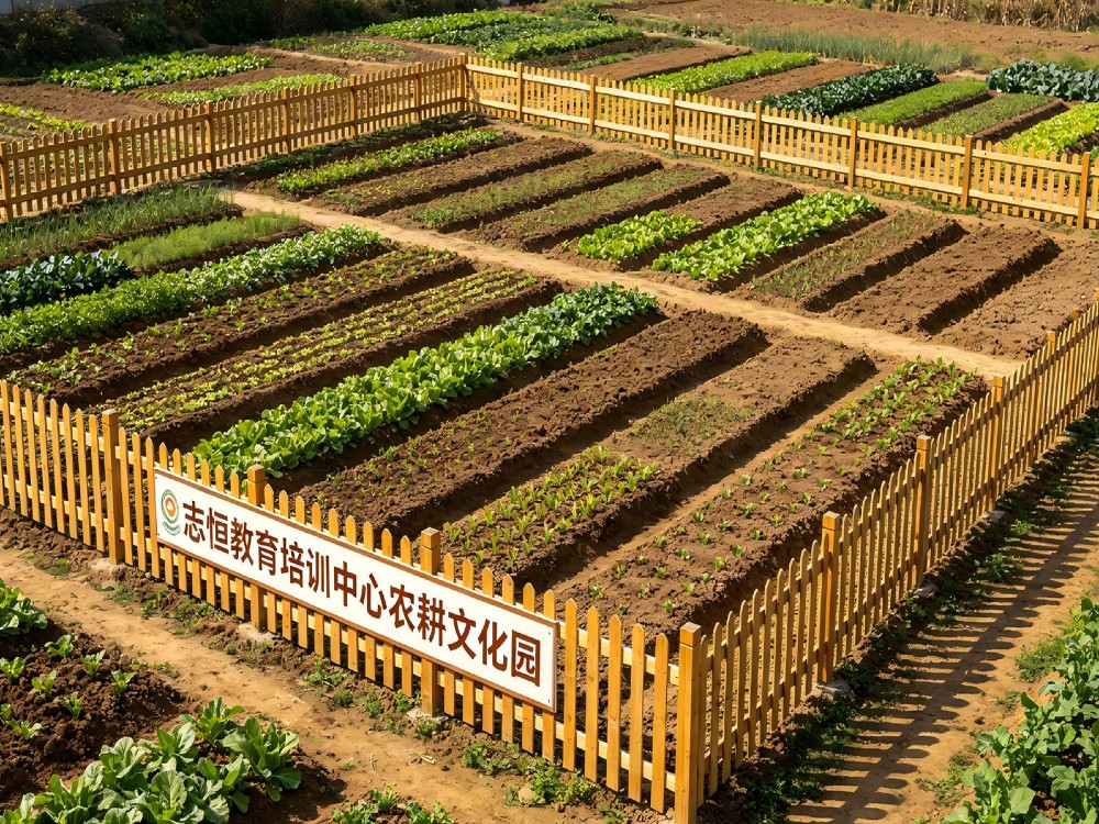 周口比较好的叛逆孩子全封闭改变学校联系电话